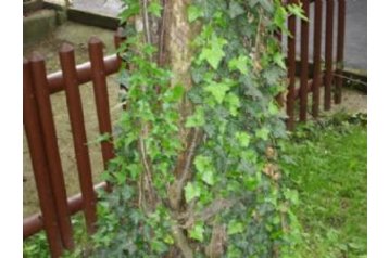 Austria Privát Salzburg, Exterior